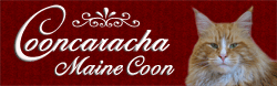 Banner rot 18Kb