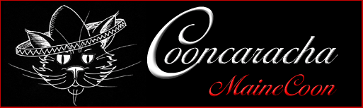 Unser Banner 27kb