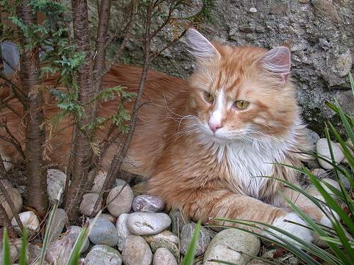 Quincy