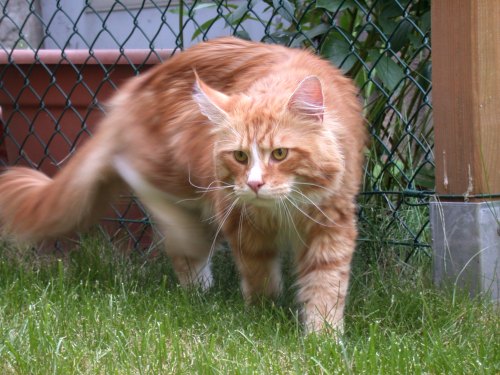 Quincy