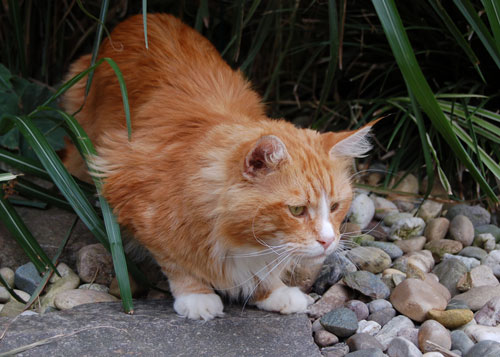 Quincy 2007