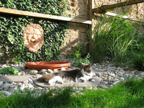 Yogi beim Sonnenbaden