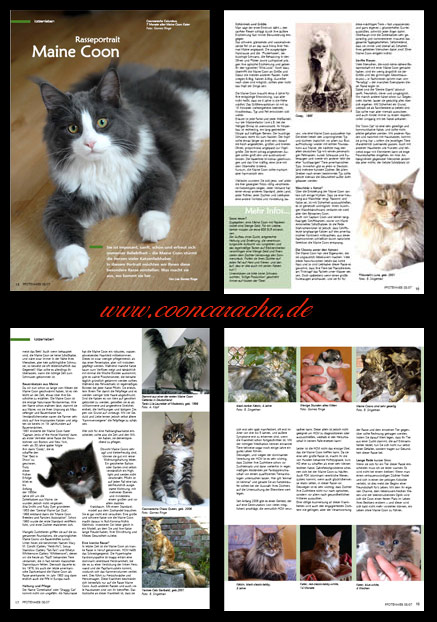 Klicken zum &Ouml;ffnen des Portraits